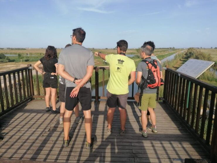 Tarragona: Southern Delta Birdwatching Private Tour - Tour Details