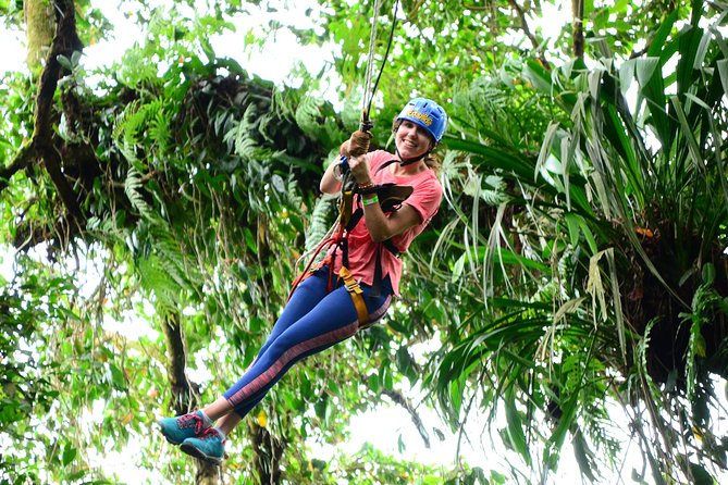 Tarzan Swing Adventure - Location and Height Details