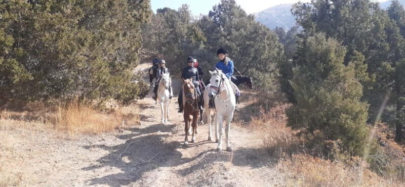Tashkent: 3-Day Horseback Riding Tour in Chimgan Mountains - The Adventure Begins: From Tashkent to Aksai Valley