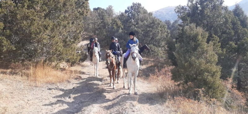 Tashkent: 3-Day Horseback Riding Tour in Chimgan Mountains - Day Three: From Mountain Heights to Charvak Lake