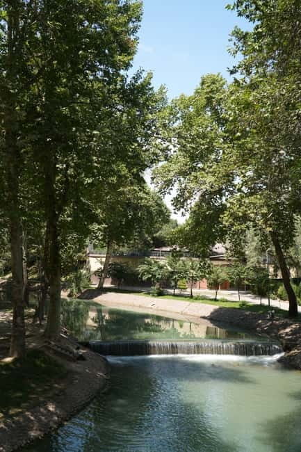 Tashkent: Culture, History and Photography Guided Tour - Bustling Markets and Local Life