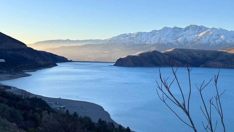 Tashkent Mountain Tour - Authentic Insights from Reviewers