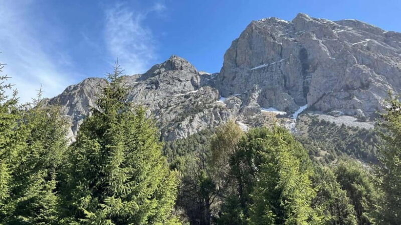 Tashkent Mountain tour - Experience Quality & Practical Details