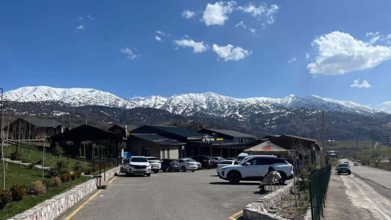 Tashkent Mountain tour - The Practical Breakdown: What Youll Experience