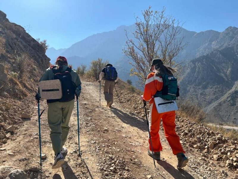 Tashkent: Obi-Rakhmat Cave and Paltau Waterfall Hike - What’s Included and What to Bring