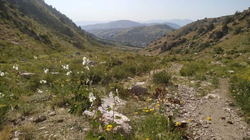 Tashkent: Tien Shan Mountains Guided Hike with Picnic - Good To Know