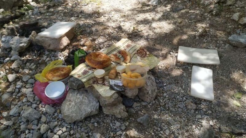 Tashkent: Tien Shan Mountains Guided Hike with Picnic - A Nature Escape Close to Tashkent
