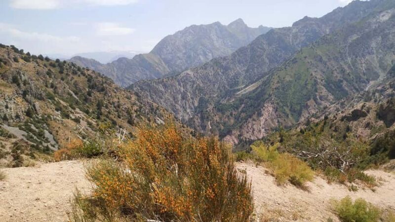 Tashkent: Tien Shan Mountains Guided Hike with Picnic - Who Will Love This Tour?