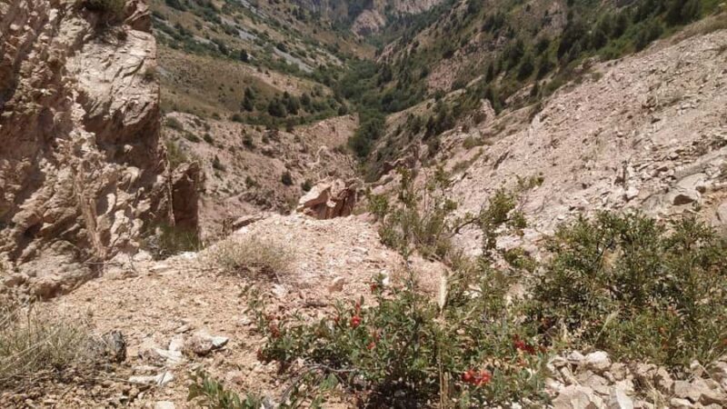 Tashkent: Tien Shan Mountains Guided Hike with Picnic - The Experience in Detail