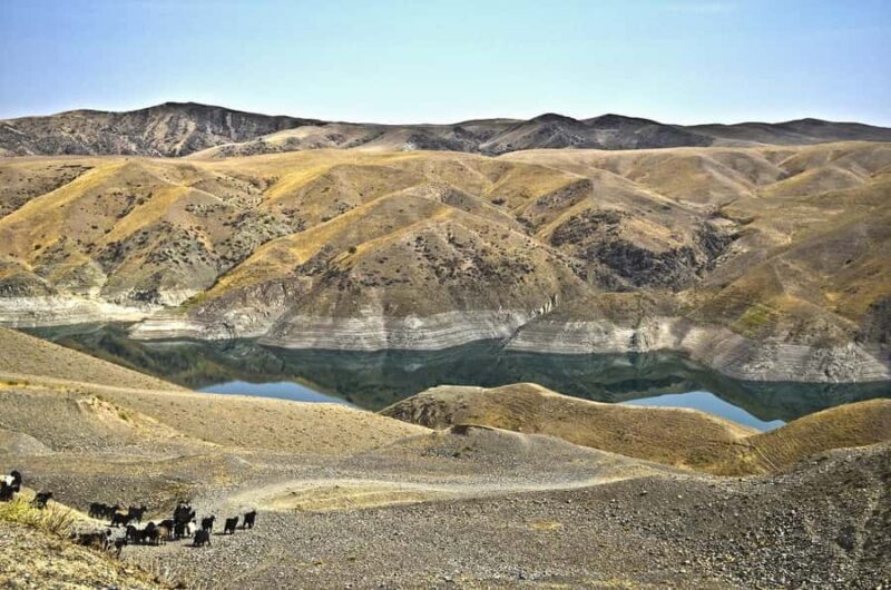 Tashkent: Zomin National Park Day Trip with Cable Car - Insights from Reviews