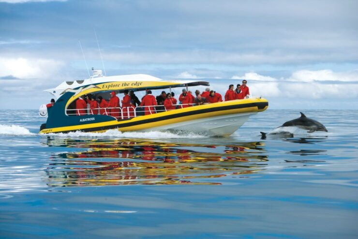 Tasman Peninsula Day Trip With Cruise & Devils From Hobart - Activity Details