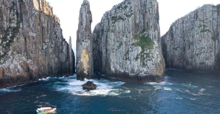 Tasman Peninsula Day Trip With Cruise & Devils From Hobart - Experience Highlights