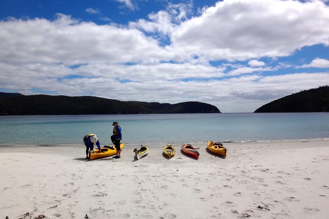Tasman Peninsula Full Day Kayaking Tour - What to Expect