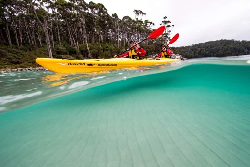 Tasman Peninsula Full-Day Sea Kayak Excursion - The Itinerary: An In-Depth Look