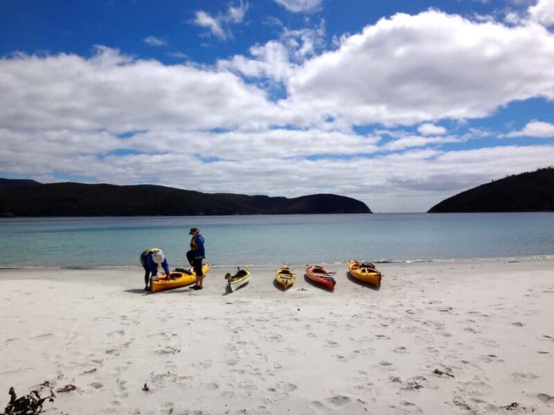 Tasman Peninsula Full-Day Sea Kayak Excursion - Practical Tips and Considerations