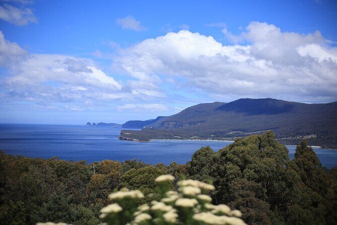 Tasman Peninsula Small-Group Guided Tour From Hobart - The Itinerary in Detail: What to Expect