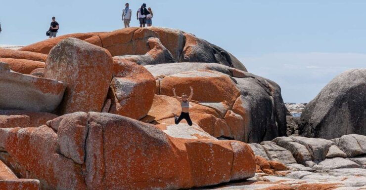Tasmania: 7-Day Tasmania Highlights Tour - Activity Details