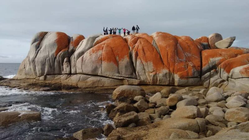 Tasmania: 7-Day West to East Tour - Good To Know