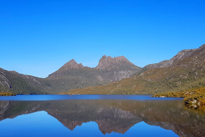 Tasmania 8 Day - Tour in Circle - Reviews and Testimonials