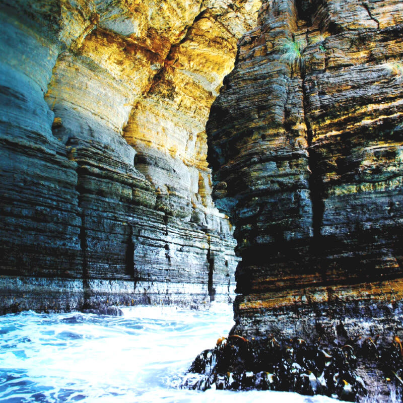 Tasmania Hobart Port Arthur Tasman Peninsula Four Great Wonders Day Tour (Chinese Guide) - Four natural stops on the Tasman Peninsula