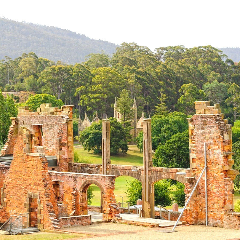 Tasmania Hobart Port Arthur Tasman Peninsula Four Great Wonders Day Tour (Chinese Guide) - The Chinese-speaking driver-guide