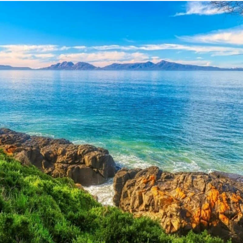 Tasmania Hobart Wineglass Bay Day Tour (Chinese Guided) - A long road to Tasmania’s east coast