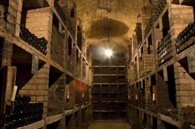 Taste and Tour Small Organic Wineries With a Winemaker - Host Background