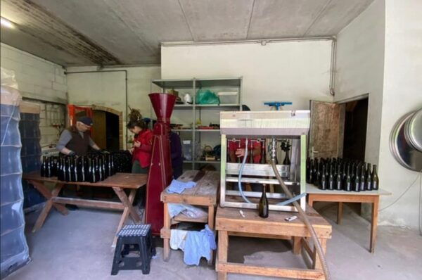 Taste and Tour Small Organic Wineries With a Winemaker - Preparing for the Tour