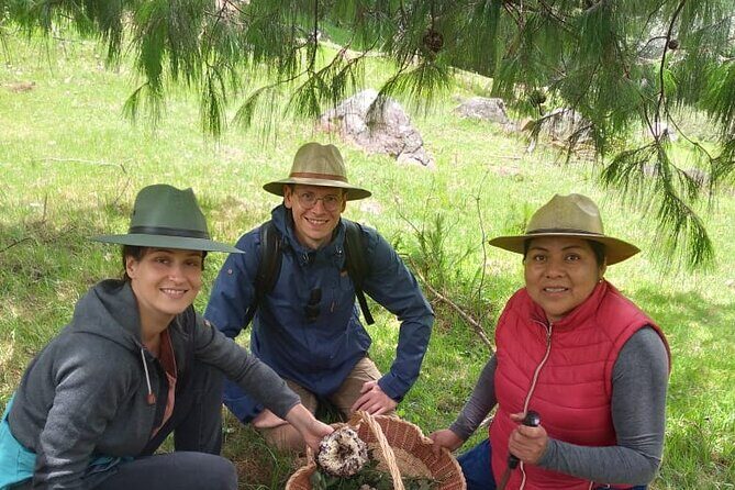 Taste and Tradition Acaxochitlán Culinary Tour from Mexico City - Detailed Breakdown of the Itinerary