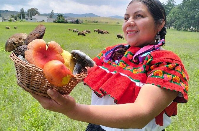 Taste and Tradition Acaxochitlán Culinary Tour from Mexico City - Authentic Experiences & Unique Insights