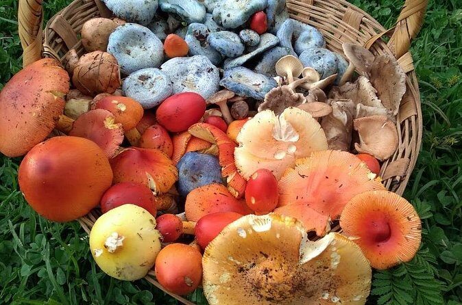 Taste and Tradition Acaxochitlán Culinary Tour from Mexico City - The Sum Up: Who Should Consider This Tour?