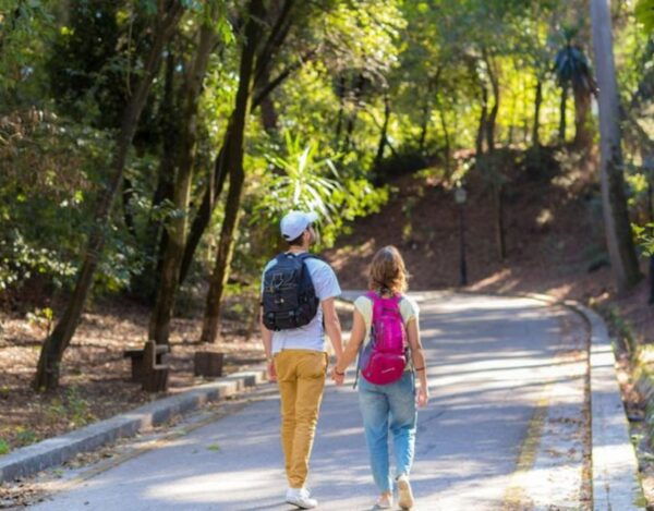 Taste Corfu: Small Group or Private Corfu Food Walking Tour - Common Questions