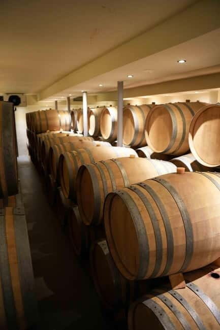 Taste & Create: Santorini Wine & Cooking Experience - Final Thoughts