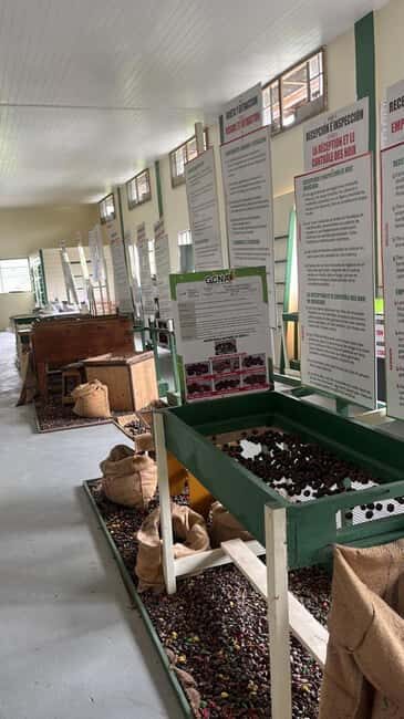 Taste & Explore Grenada: Rum, Chocolate & Spice Journey - FAQs