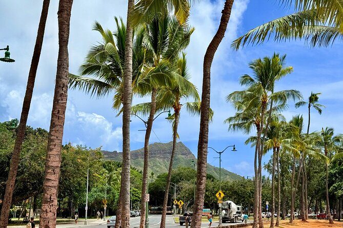 Taste Honolulu, Hawaiian Classics & Local Favorites - Exploring Honolulu’s Flavors and Culture: A Review of the Taste Honolulu Tour