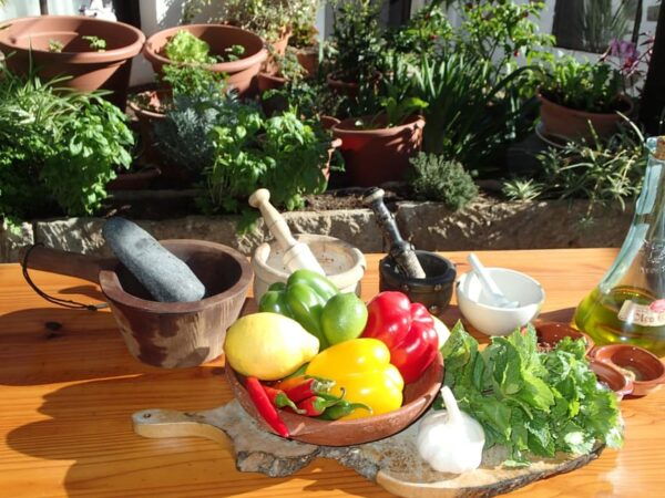 Taste Journey in an Ancient Canarian Village - Authentic Rural Life