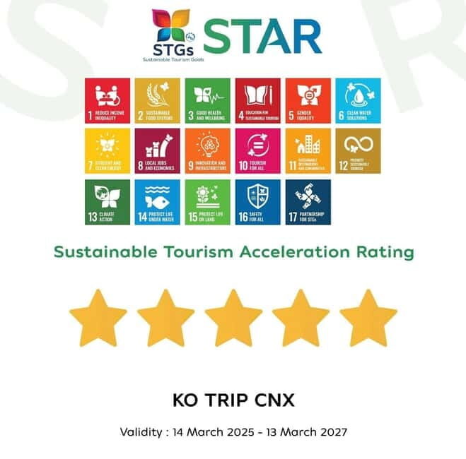 Taste of Chiang Mai: Michelin Guide Street Food Tour - An Honest Look at the Chiang Mai Michelin Street Food Tour