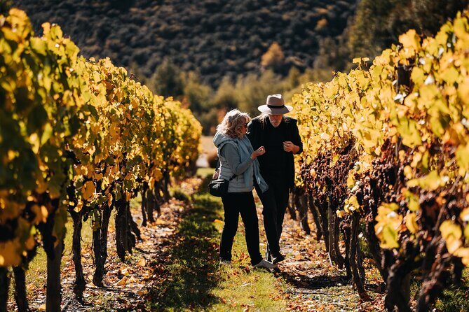 Taste of Gibbston private Wine Tour from Queenstown and return. - The Sum Up