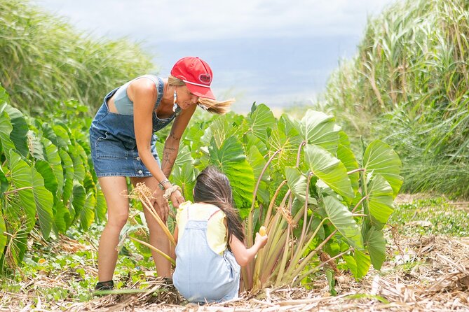 Taste of Hawaii: A Maui Farm Tour - Tour Details