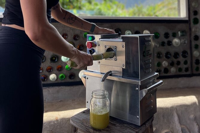 Taste of Hawaii: A Maui Farm Tour - What To Expect
