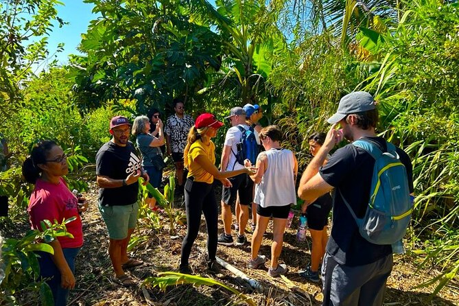 Taste of Hawaii: A Maui Farm Tour - Cancellation Policy