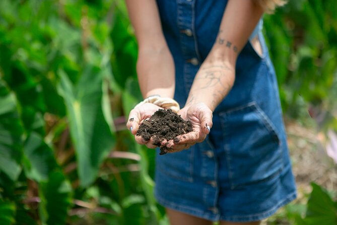 Taste of Hawaii: A Maui Farm Tour - Traveler Photos
