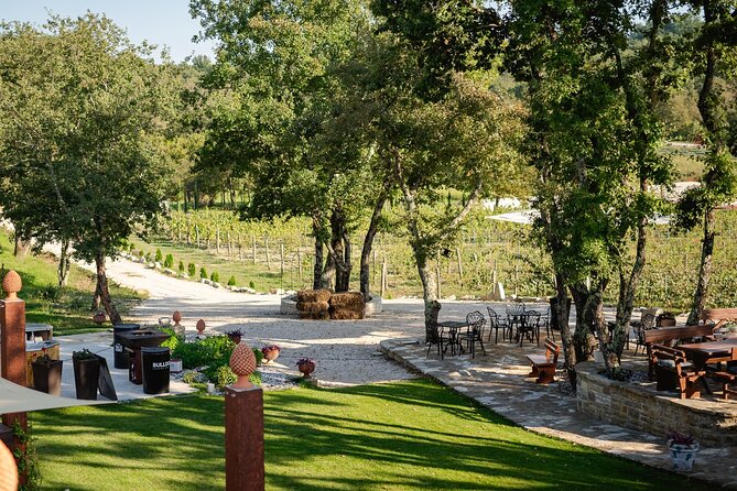 Taste of Istria - Wine, Brandy, Vinegar, Local Food - Booking Details and Price Information