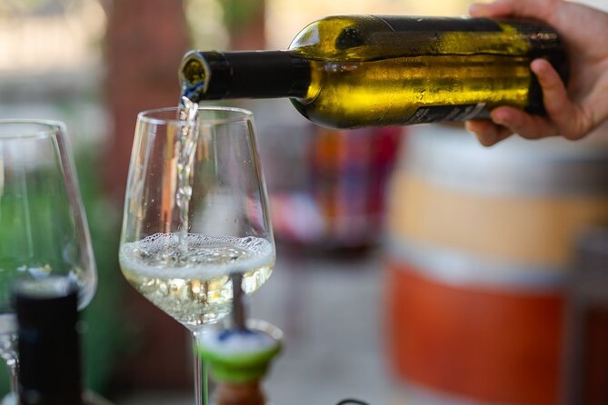 Taste of Istria - Wine, Brandy, Vinegar, Local Food - Positive Reviews and Testimonials