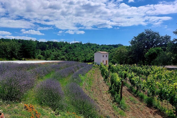 Taste of Istria - Wine, Brandy, Vinegar, Local Food - Frequently Asked Questions