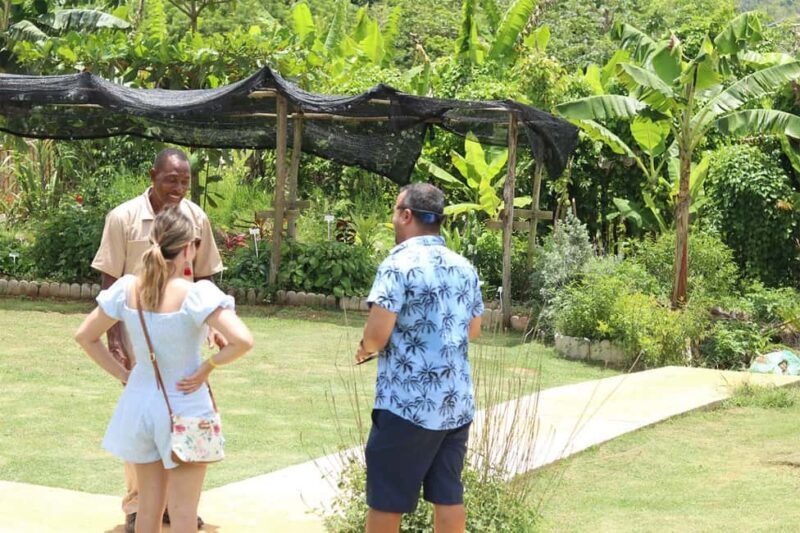 Taste of Jamaica Farm & Food Tour - An Authentic Look at Jamaica’s Rural Culture