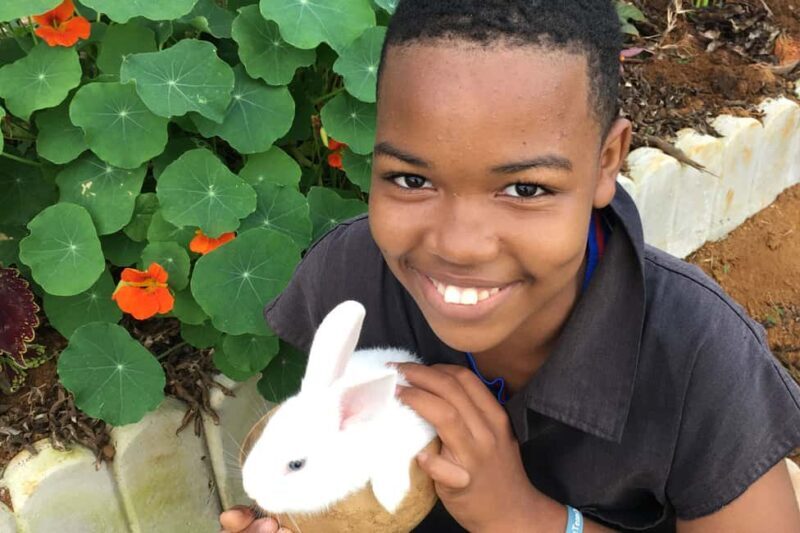 Taste of Jamaica Farm & Food Tour - Sampling Jamaica’s Flavors: The Food Experience