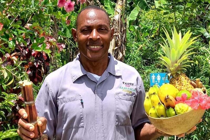Taste of Jamaica Farm & Food Tour - Why This Tour Offers Great Value