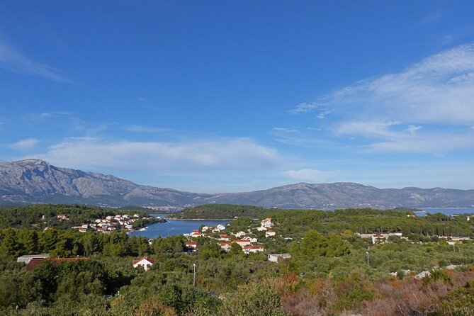 Taste of Korcula Tour (Food & Drink Tasting) - Tour Highlights