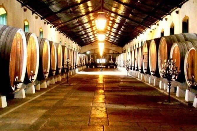 Taste of Sintras Wonders Wine & Tapas Tasting Private Tour - Who Will Love This Tour?